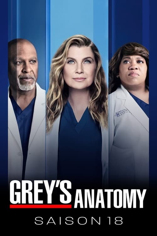 Grey's Anatomy - Saison 18