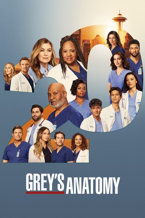 Grey's Anatomy - Saison 20