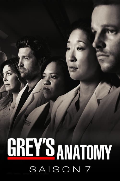 Grey's Anatomy - Saison 7 épisode 3 en streaming