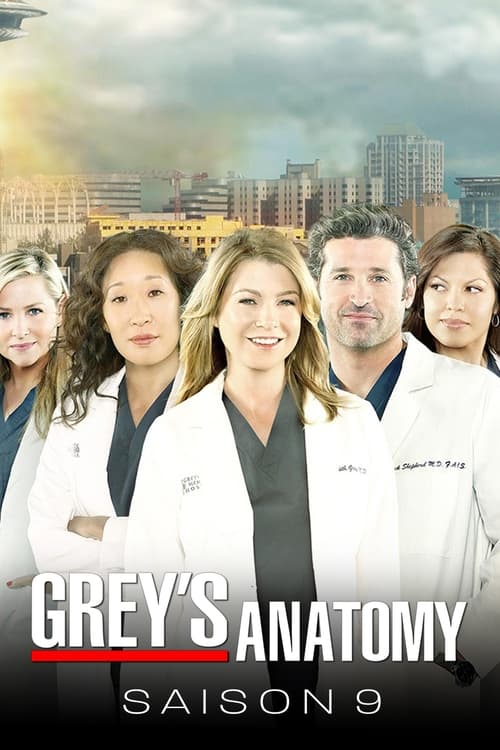 Grey's Anatomy - Saison 9 épisode 17 en streaming