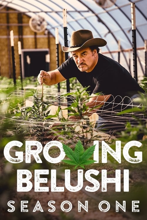 Growing Belushi - Saison 1 épisode 1 en streaming