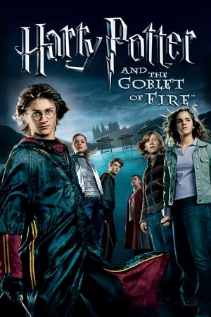 Harry Potter (4) et la Coupe de feu