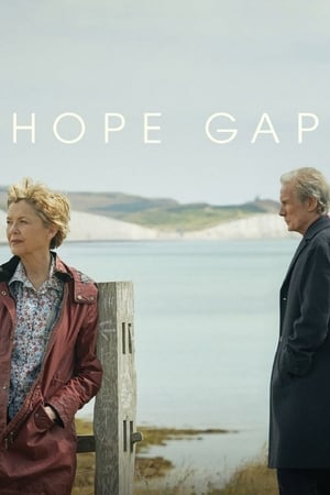 Hope Gap en streaming