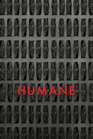 Humanité en streaming