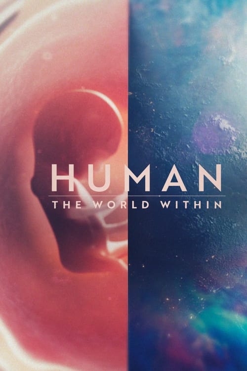 Human: The World Within en streaming