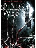 In the Spider's Web en streaming