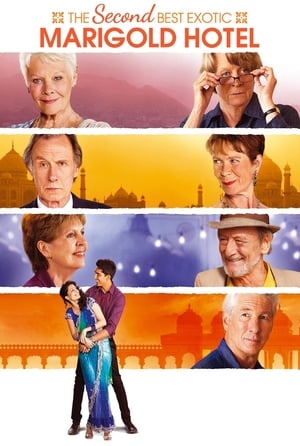 Indian Palace - Suite royale en streaming