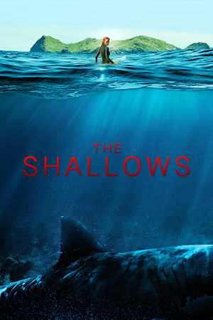 Instinct de survie - The Shallows en streaming