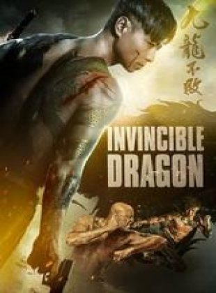 Invincible Dragon en streaming