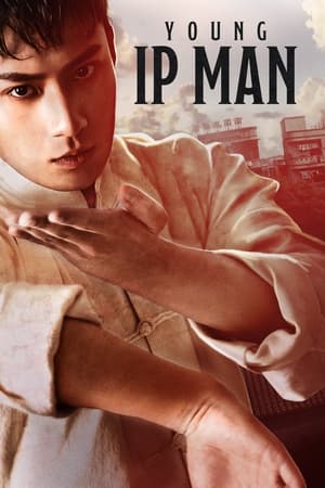 Ip Man : Naissance d'un combattant en streaming