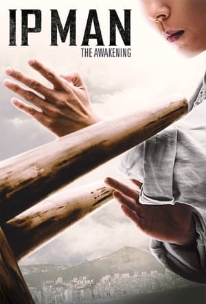 Master Ip Man : The Awakening en streaming