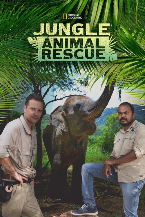 Jungle Animal Rescue - Saison 1 épisode 3 en streaming