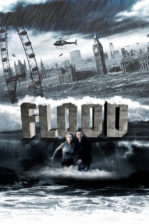 La Grande inondation en streaming