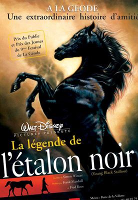 La Légende de l'étalon noir en streaming