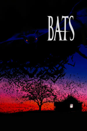 La Nuit des chauves-souris en streaming