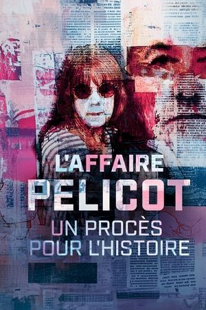 L'affaire Pelicot : un procès pour l'histoire en streaming