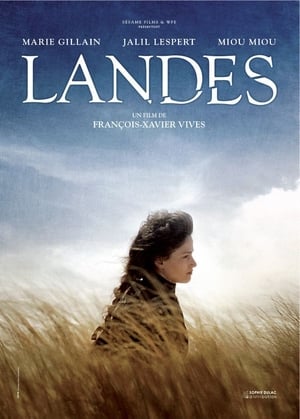 Landes en streaming