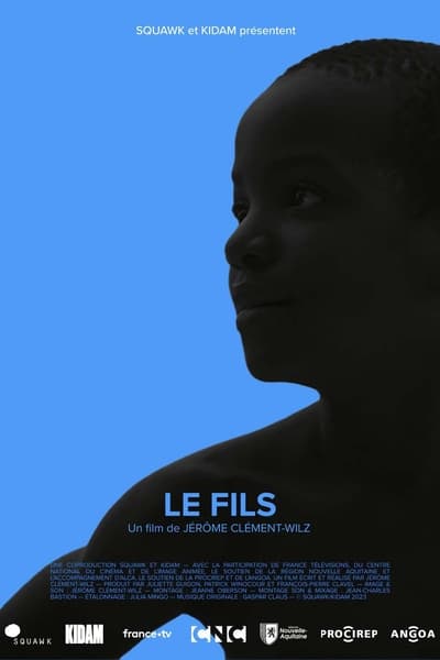 Le Fils en streaming