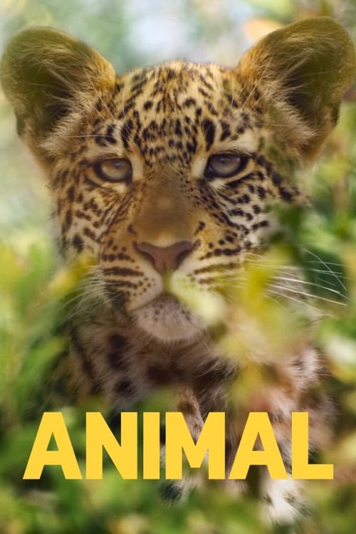 Le Règne Animal - Saison 1 épisode 1 en streaming