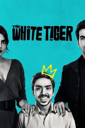 Le Tigre blanc en streaming