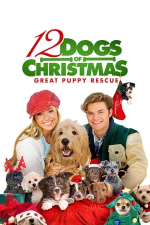 Les 12 chiens de Noël 2 en streaming