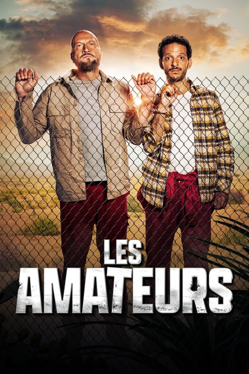 Les Amateurs - Saison 2