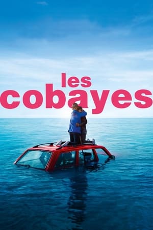 Les Cobayes en streaming