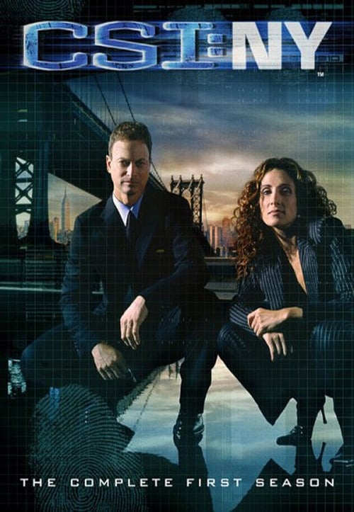 Les Experts : Manhattan - Saison 1 en streaming