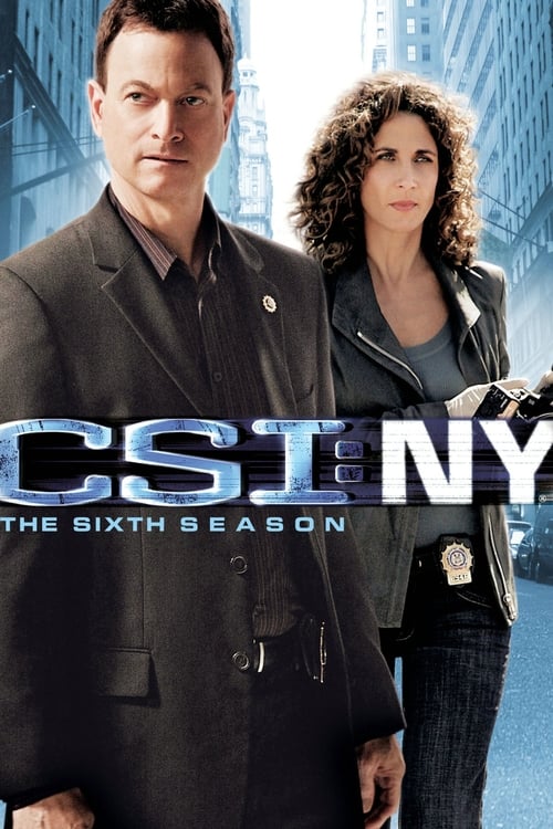 Les Experts : Manhattan en streaming