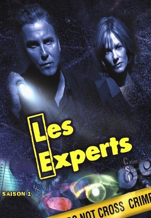 Les Experts en streaming