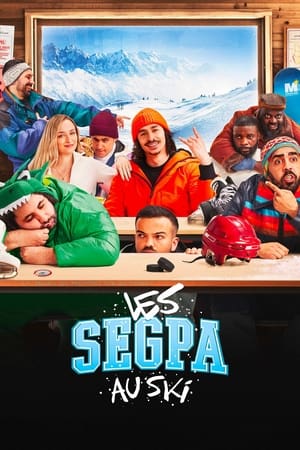 Les SEGPA au ski en streaming