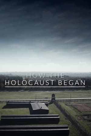 L'Holocauste Invisible en streaming