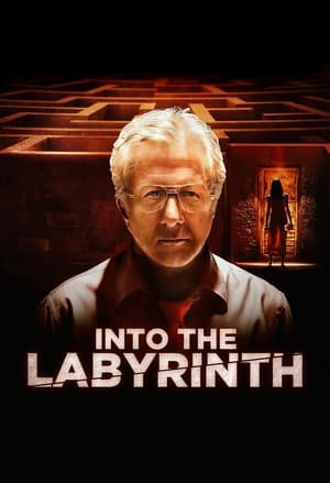 L'Homme du Labyrinthe en streaming