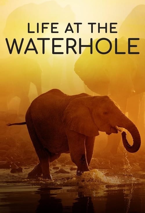 Life at the Waterhole - Saison 1 en streaming