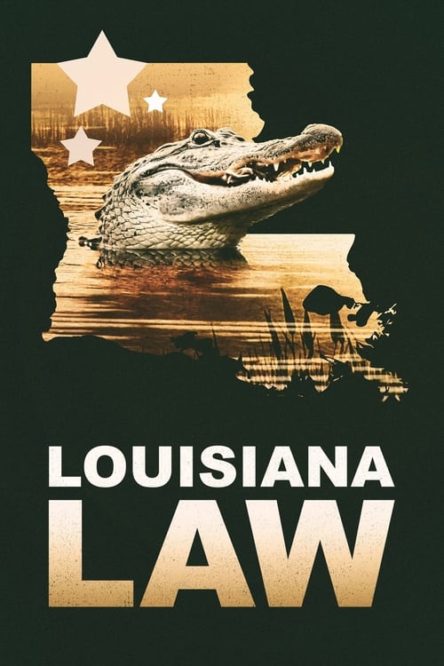 Louisiana Law - Saison 1 en streaming