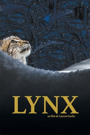 Lynx en streaming