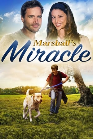 Marshall, le miracle de la vie en streaming