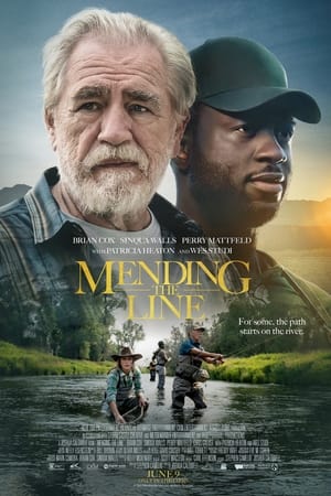 Mending the Line en streaming