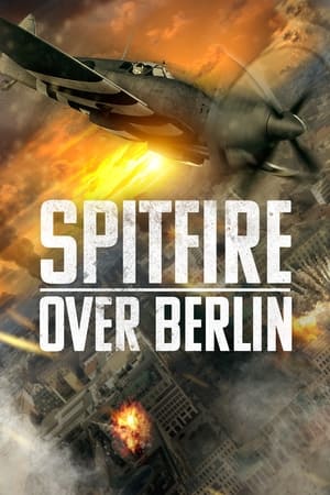 Mission Spitfire en streaming