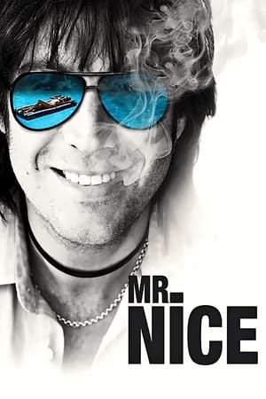 Mr. Nice en streaming