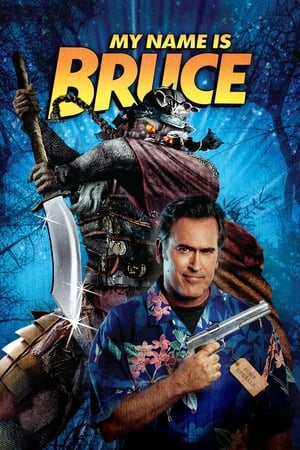 My Name Is Bruce en streaming