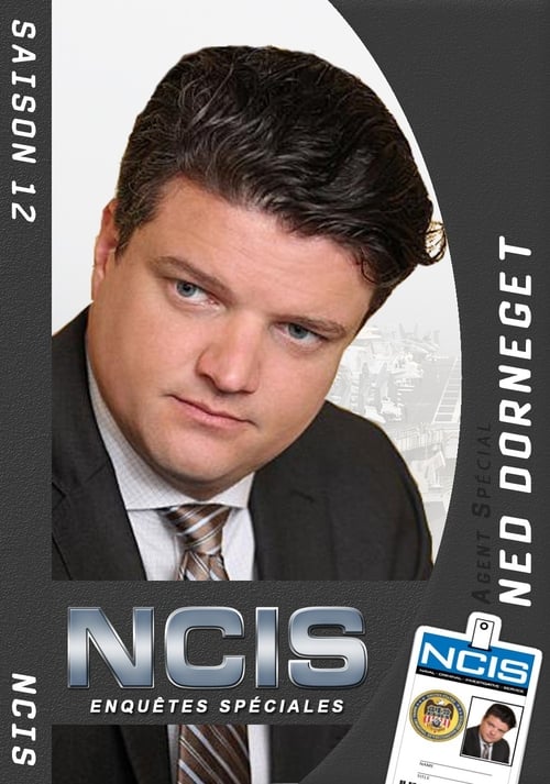 NCIS : Enquêtes spéciales - Saison 12 en streaming