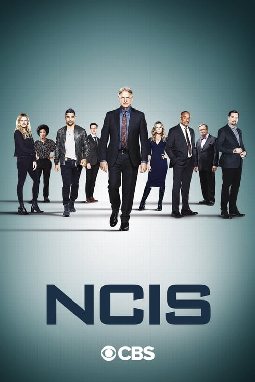 NCIS : Enquêtes Spéciales - Saison 18 épisode 13 en streaming