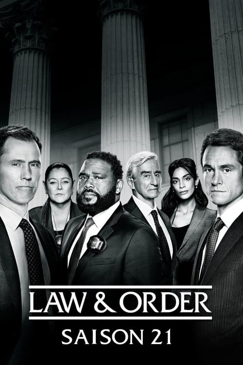 New York District / New York Police Judiciaire - Saison 21 épisode 10 en streaming