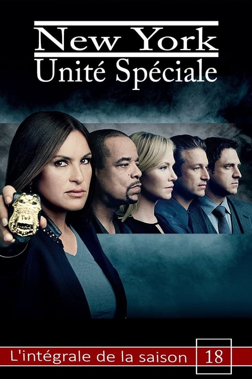 New York Unité Spéciale - Saison 18 en streaming