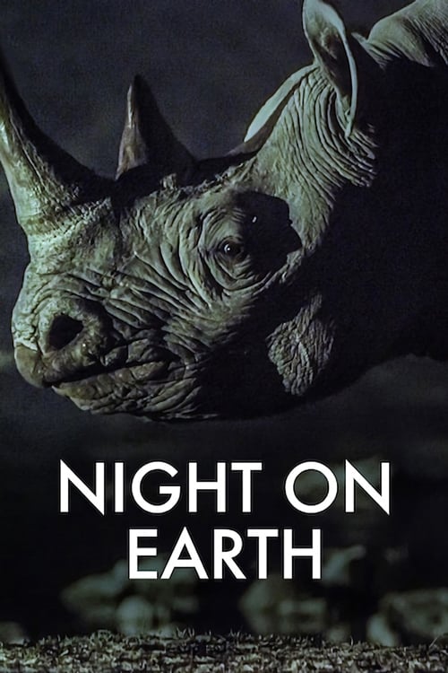 Night on Earth - Saison 1 en streaming