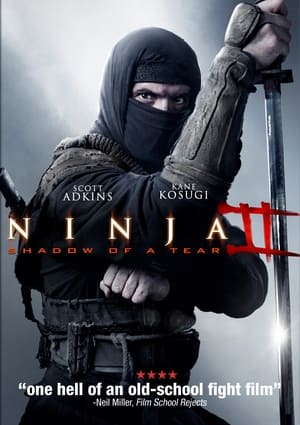 Ninja 2 : Shadow of a Tear