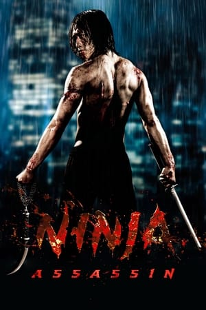 Ninja Assassin en streaming