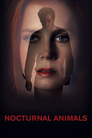 Nocturnal Animals en streaming