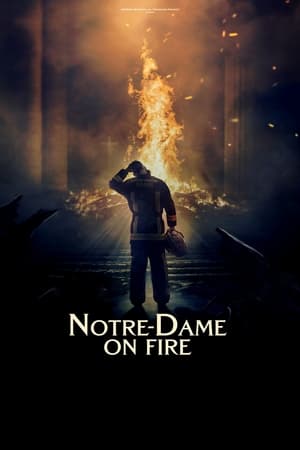 Notre-Dame brûle en streaming